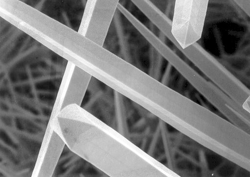 Hafnium Carbide Crystals, 
 
Grown at the University of New Mexico, 
 
in Dr. John V. Milewski's Lab. 
 
Electron-microscope picture taken by
 
Tommy Cichanowski, who built and managed the lab. 