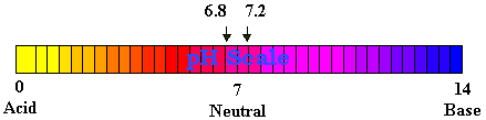 The pH notation is an index of Hydrogen's 
 
chemical activity in a solution. 