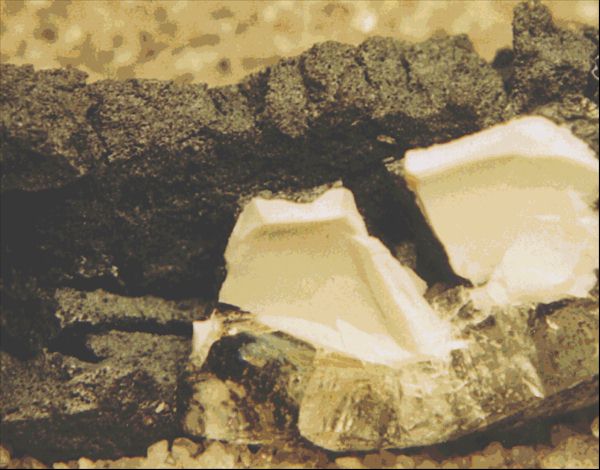 Photo 4 
2X magnification 