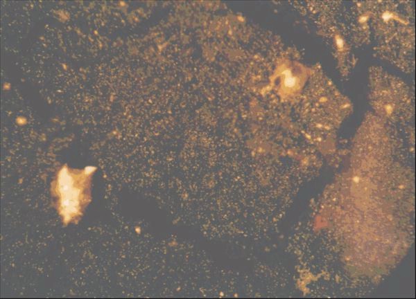 Photo 5 
10X magnification 