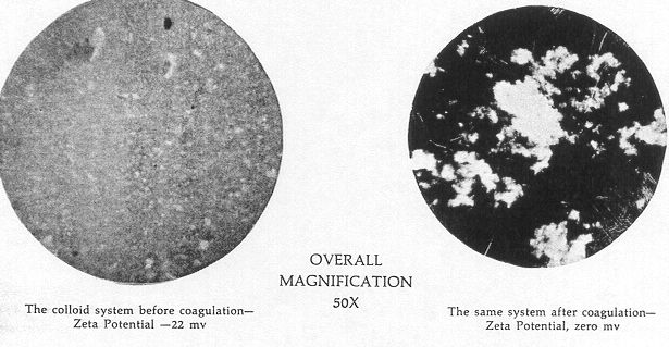 Fig 3 --- Zeta Potential at Work 
 
Photomicrograph of colloid systems 