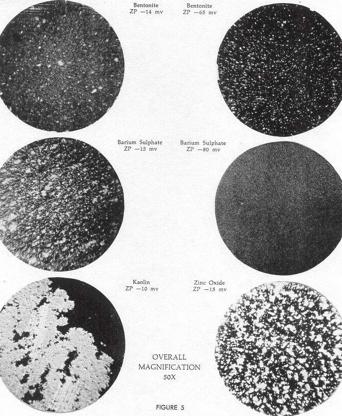 Fig. 5 --- Zeta Potential at Work 

Photomicrograph of colloid systems 