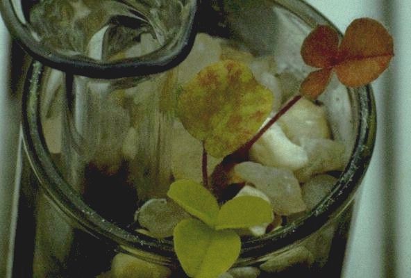 A Real Science Experiment.
 
Click on Picture for Next Slide. 