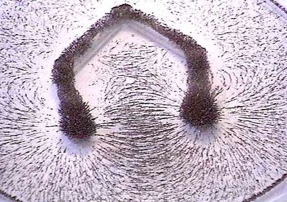 Old style Cow Magnets. 