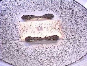 Old style Cow Magnets. 