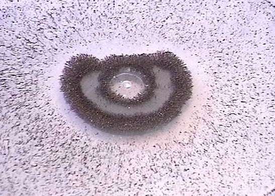 I wish you could see this in 3D. 