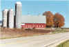 Farmyard_2004.jpg (105592 bytes)