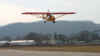 11252006 074 Cropped.jpg (436377 bytes)
