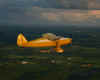 20100615 008 Cropped.jpg (1439951 bytes)