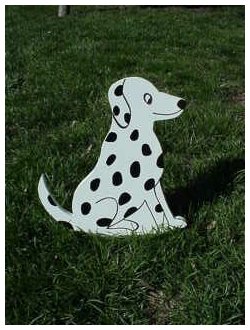 Dalmation