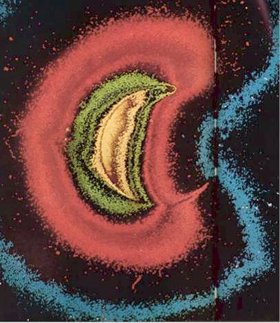 Photo taken from moon, showing a strong electric field surrounding our planet. 

The outer band has a charge of +350,000 volts static DC. 
 
Nikola Tesla's resonate coils interacted with this field. 