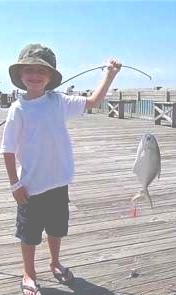 Photo by 
 
Rene Josephson 