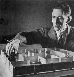 Click on Picture to Enlarge. 