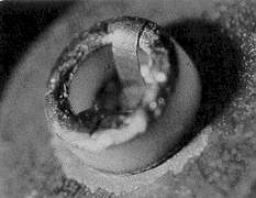 Click on Picture to Enlarge. 