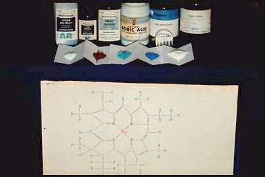 Chlorophyll protein and hydroponic salts. 
 
Link to hydro-solution makeup. 
