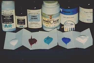 Link to Hydroponic / Hydroculture Salts 