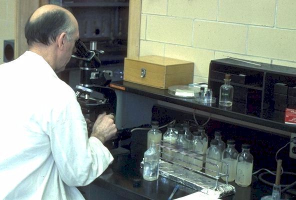 Looking for Invaders.
High Purtity is a Must to Start the Next Stage.
 
Click on Picture for Next Slide. 