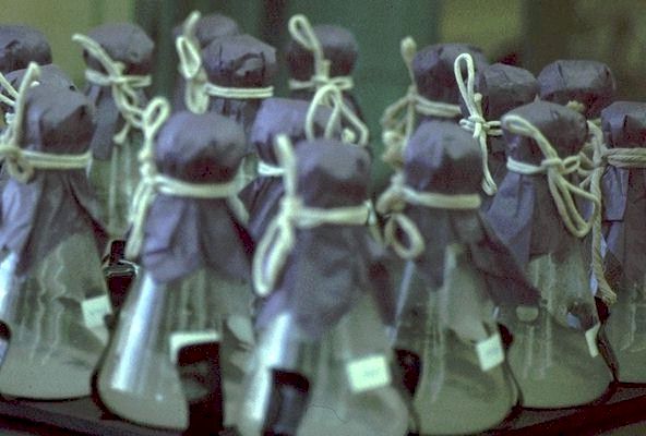 First Step in Commercial Production. 
A Culture is taken from the Bank and grown
on this agitating table.
 
Click on Picture for Next Slide. 