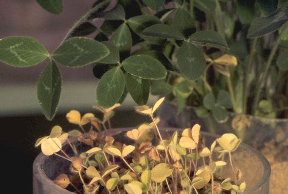 Everything the same, except ...
 
Click on Picture for Next Slide. 