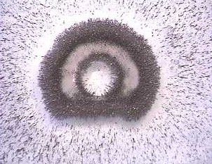 View plane 3 / 16 inches above magnet. 